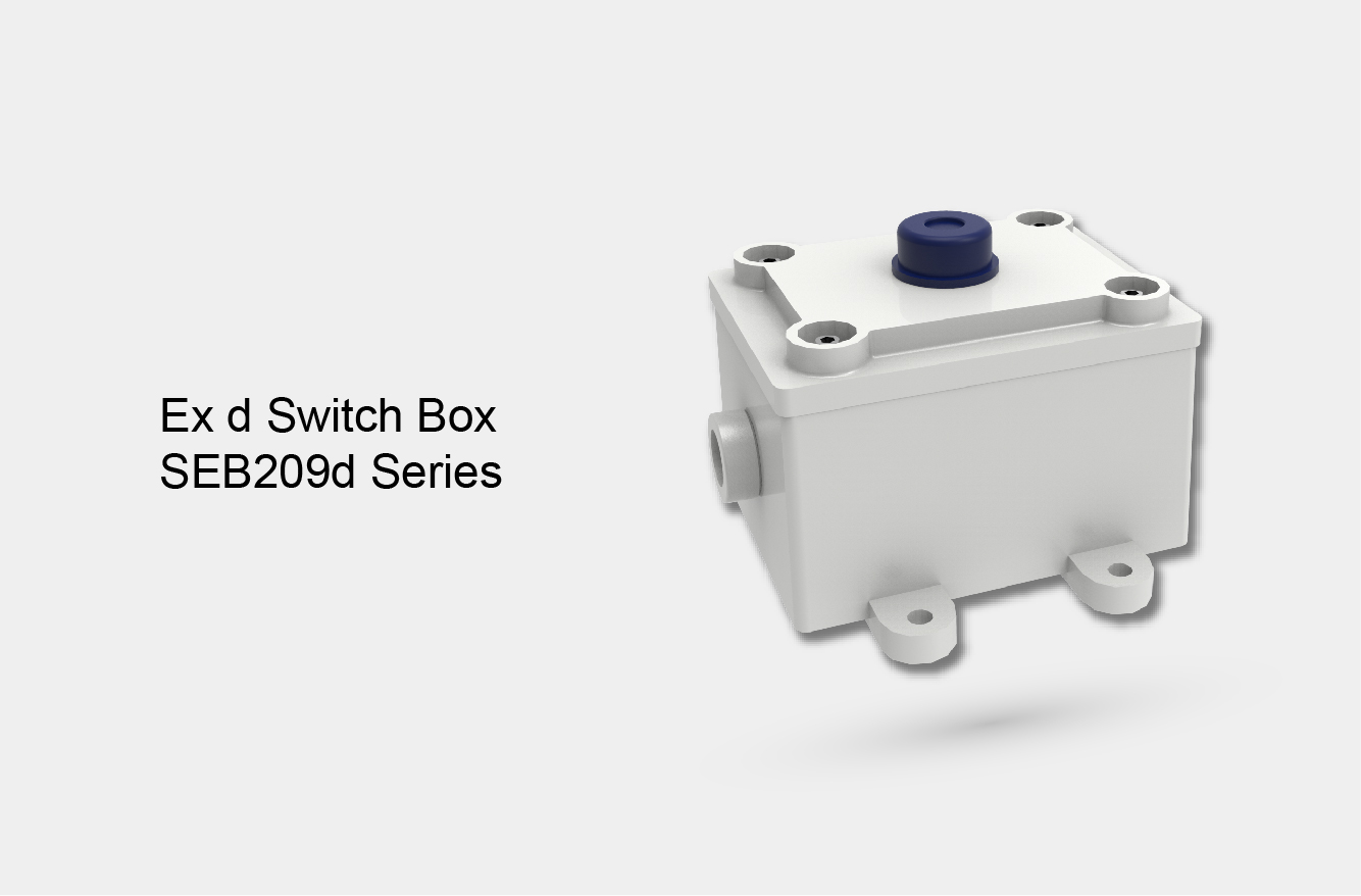 Ex d Switch Box SEB209d Series